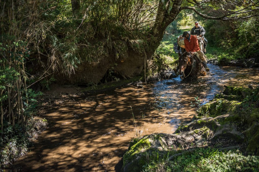 Spring creek at River of Dreams