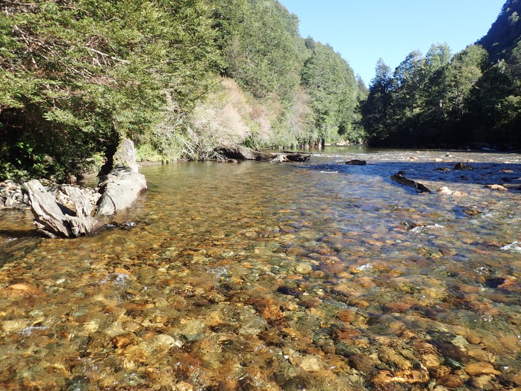Río Bongo in Patagonia