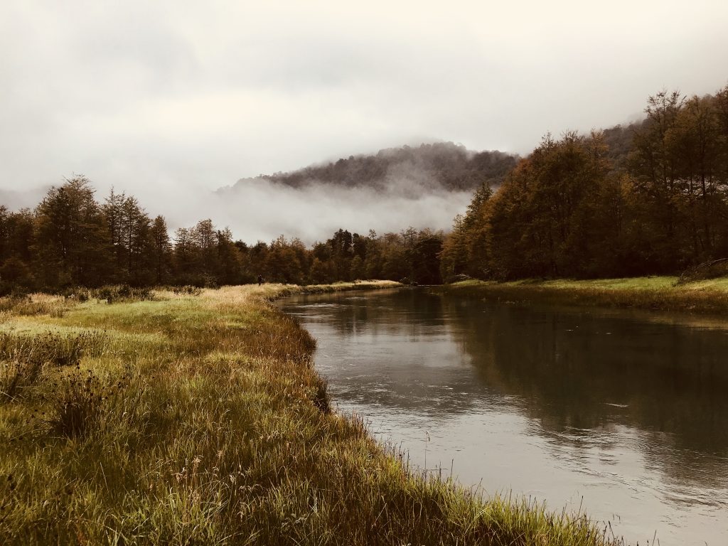 The private spring creek near the camp